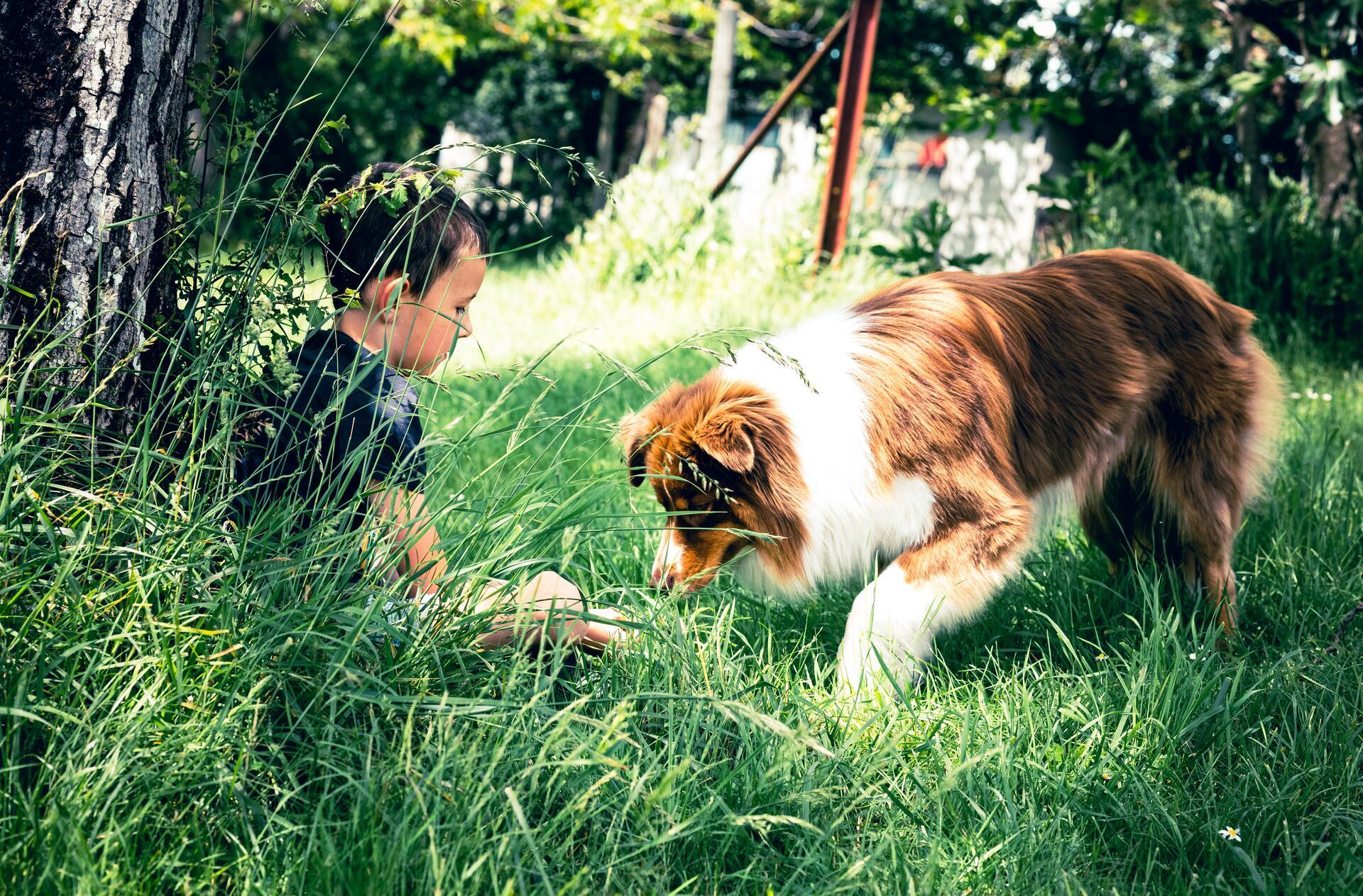 Lifestyle - Img 1331 | Audrey Rousset Photographie