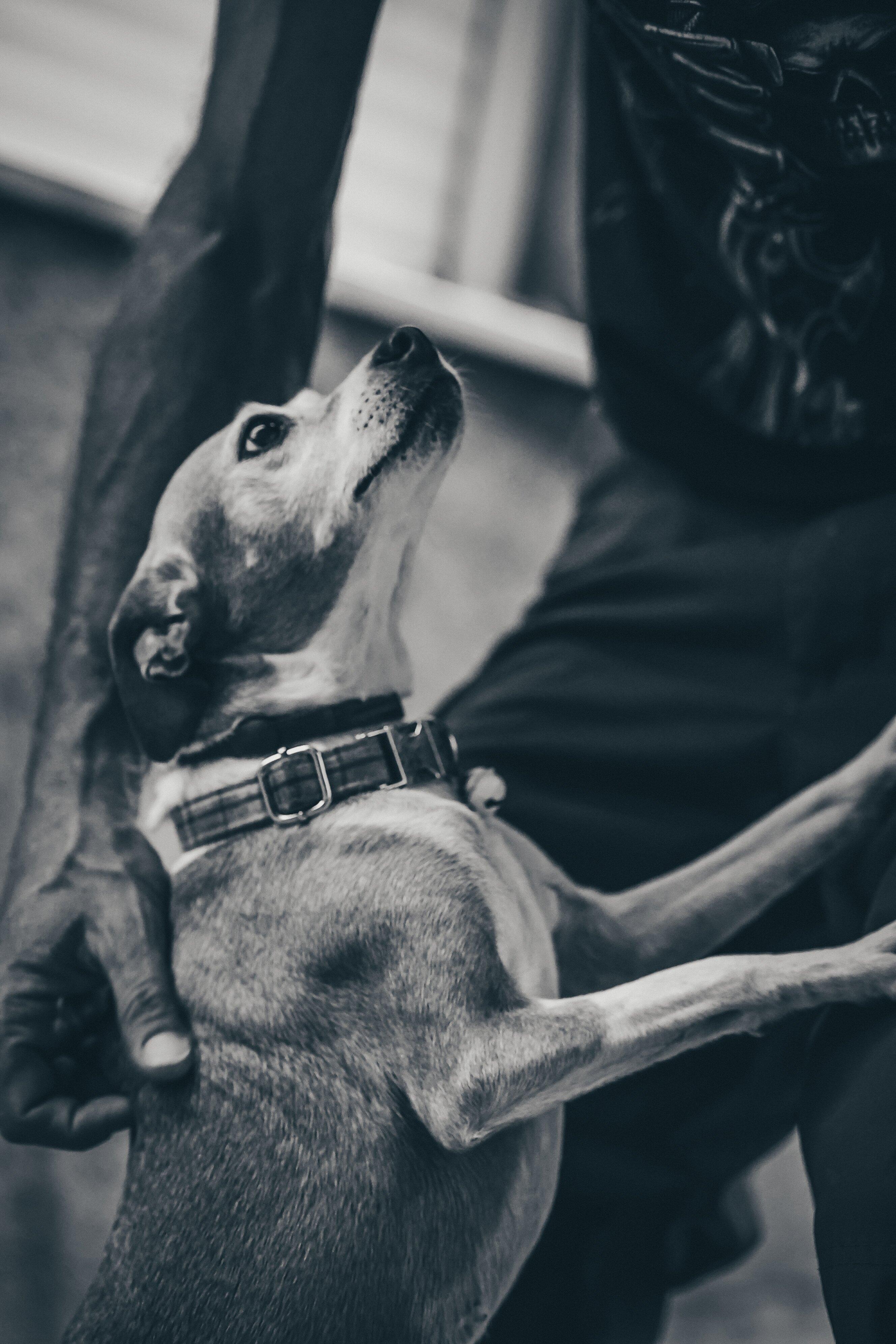 Lifestyle - Img 1541 | Audrey Rousset Photographie